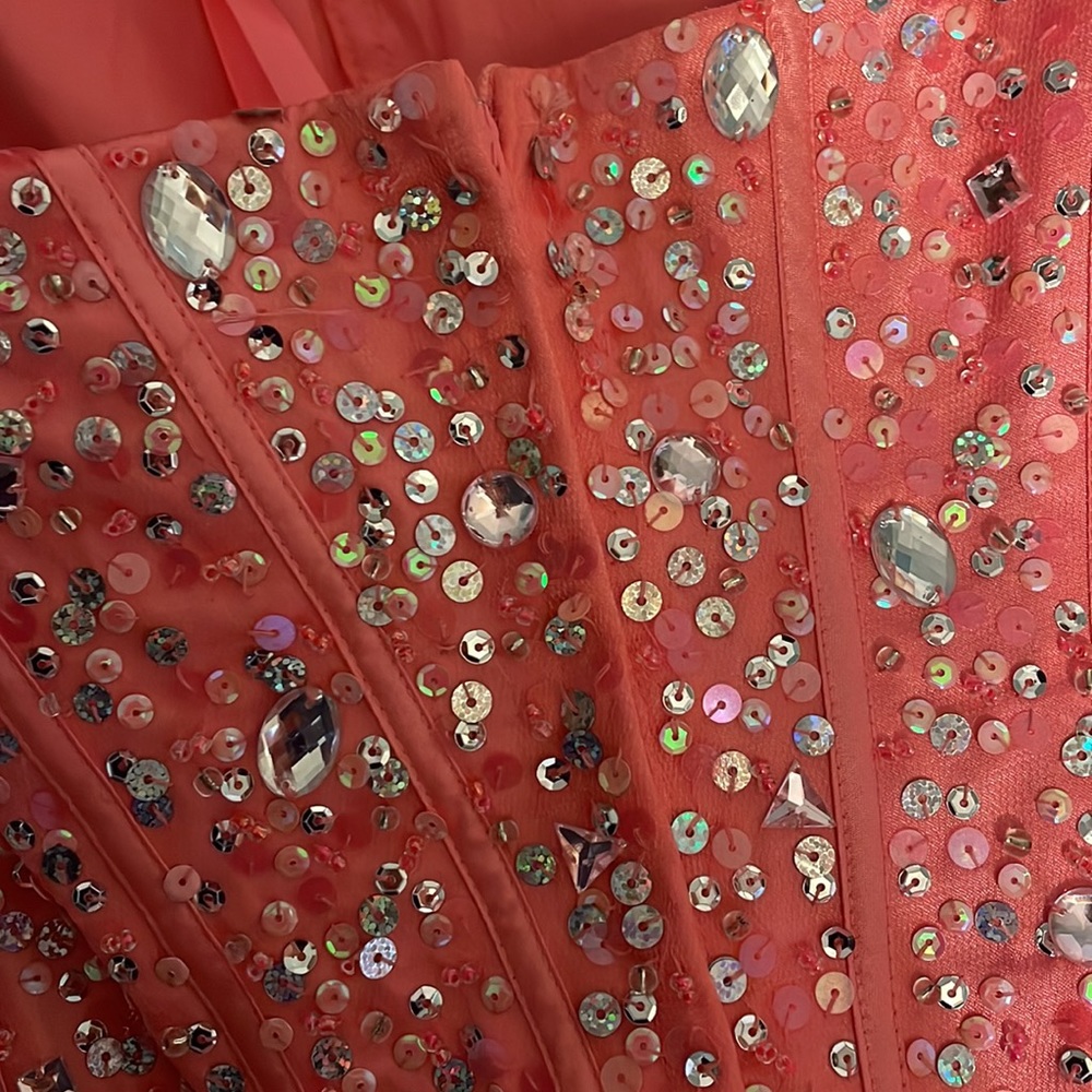 Prom Dress - Picture 11 of 14